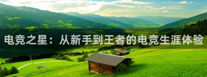 米兰电竞电子竞技平台：电竞之星：从新手到王者的电竞生涯体验