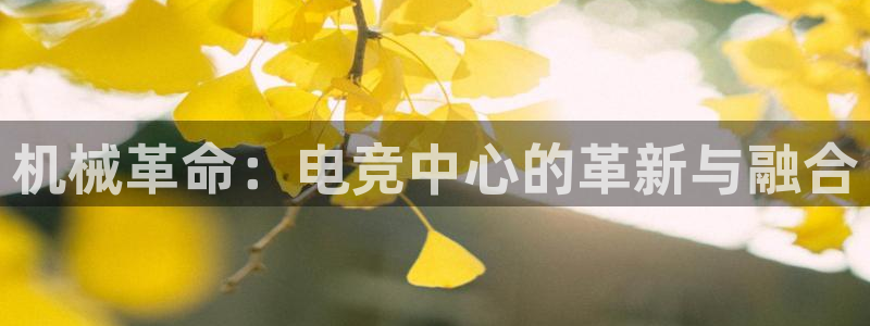 米兰电竞在线：机械革命：电竞中心的革新与融合