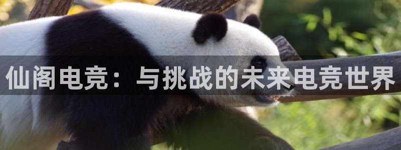 米兰电竞网址：仙阁电竞：与挑战的未来电竞世界