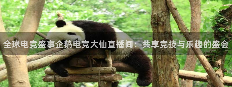 米兰电竞：全球电竞盛事企鹅电竞大仙直播间：共享竞技与乐趣的盛会