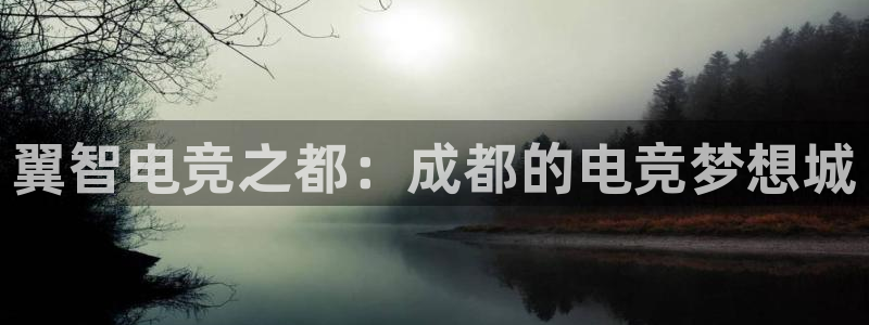 米兰电竞体育：翼智电竞之都：成都的电竞梦想城
