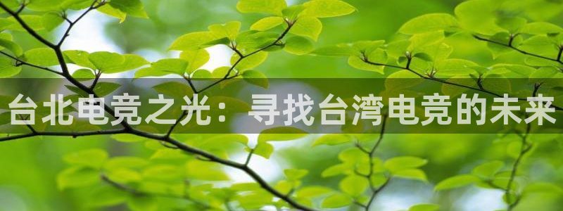 米兰电竞官网：台北电竞之光：寻找台湾电竞的未来
