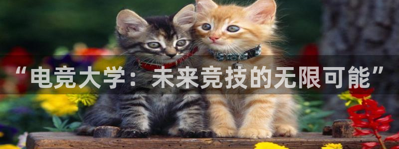 米兰电竞下载