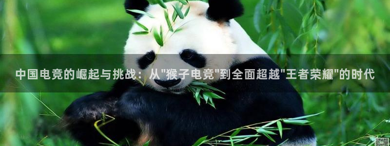 米兰电竞会不会不出款：中国电竞的崛起与挑战：从\