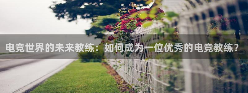 米兰电竞官方网站：电竞世界的未来教练：如何成为一位优秀的电竞教练？