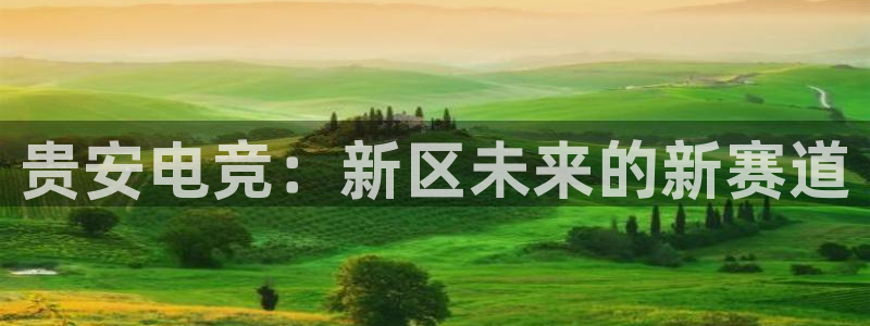 米兰电竞体育：贵安电竞：新区未来的新赛道